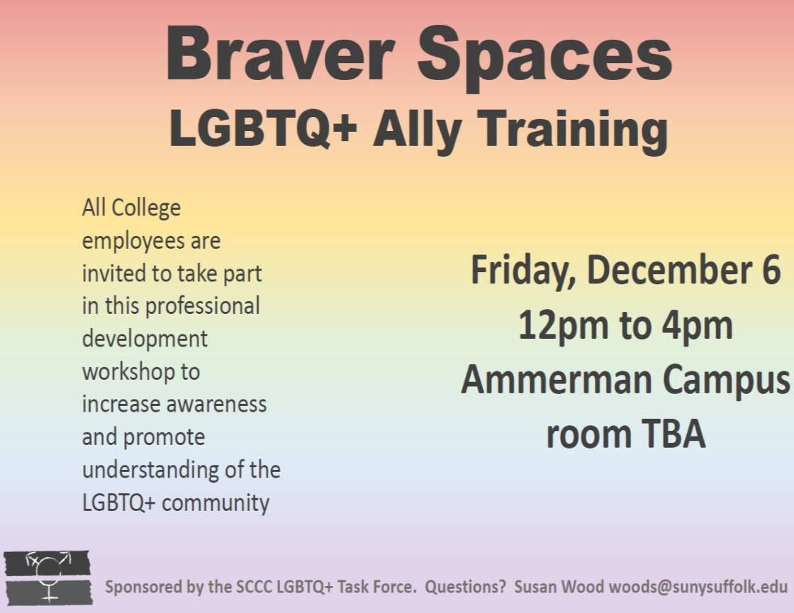 Braver Spaces Training