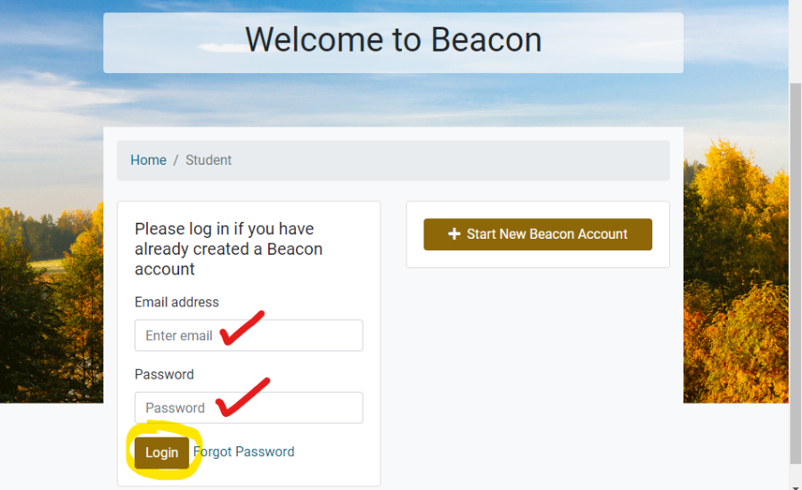 Beacon Portal Registration Instructions