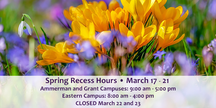 Library Spring Break Hours