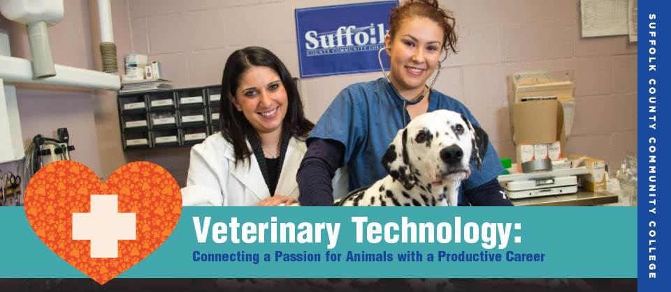 Veterinary Science Career Focus